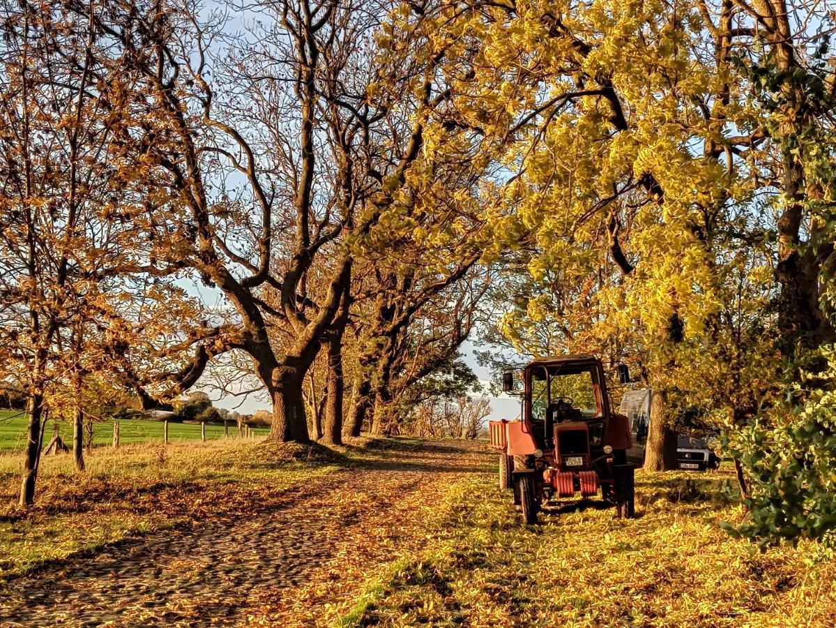 Schaeferwagen Auf Dem Biogut-Saalkow Otel Gustow  Dış mekan fotoğraf